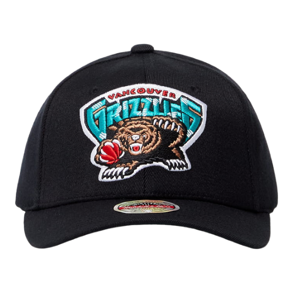 grizzlies mitchell and ness hat